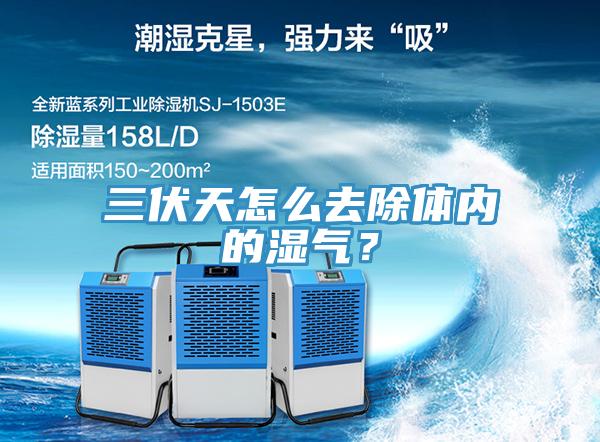 三伏天怎么去除體內(nèi)的濕氣？