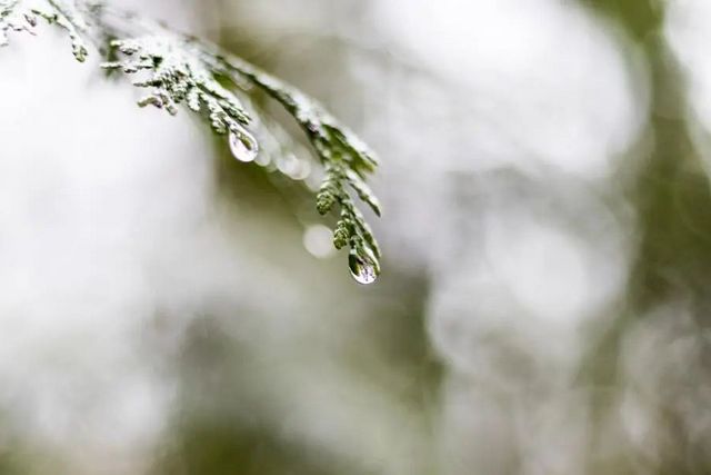 空氣濕度大帶來的危害有哪些，你知道嗎？