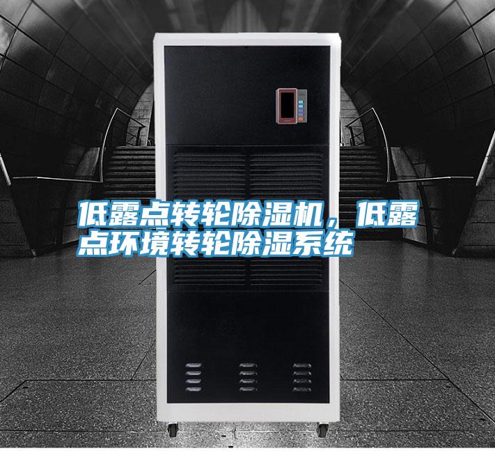 低露點轉(zhuǎn)輪除濕機，低露點環(huán)境轉(zhuǎn)輪除濕系統(tǒng)