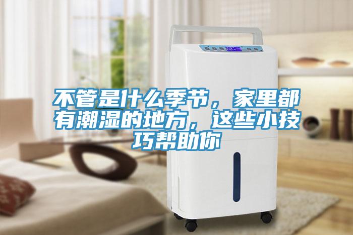 不管是什么季節(jié)，家里都有潮濕的地方，這些小技巧幫助你