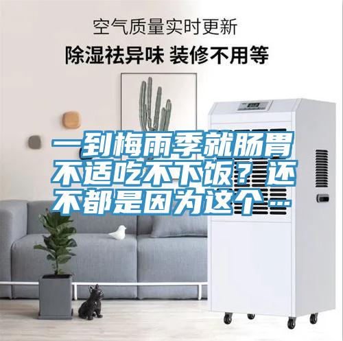 一到梅雨季就腸胃不適吃不下飯？還不都是因?yàn)檫@個(gè)…