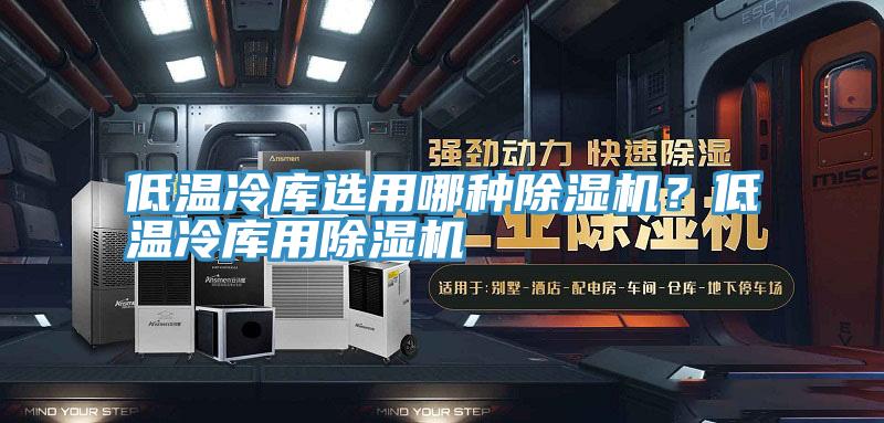 低溫冷庫選用哪種除濕機(jī)？低溫冷庫用除濕機(jī)