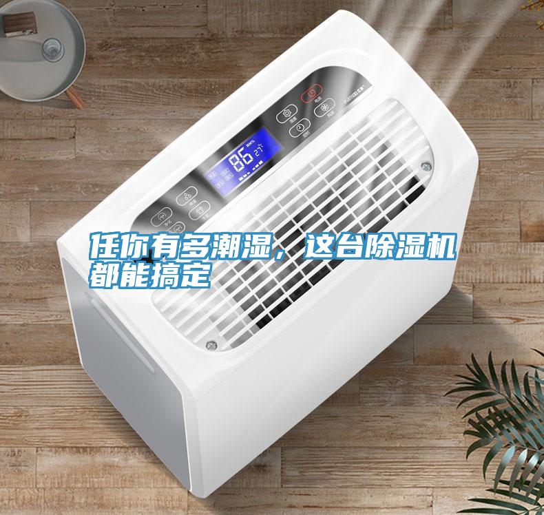 任你有多潮濕，這臺除濕機都能搞定
