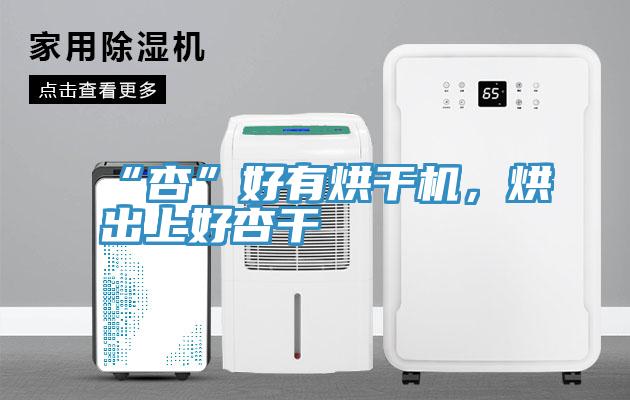 “杏”好有烘干機(jī)，烘出上好杏干