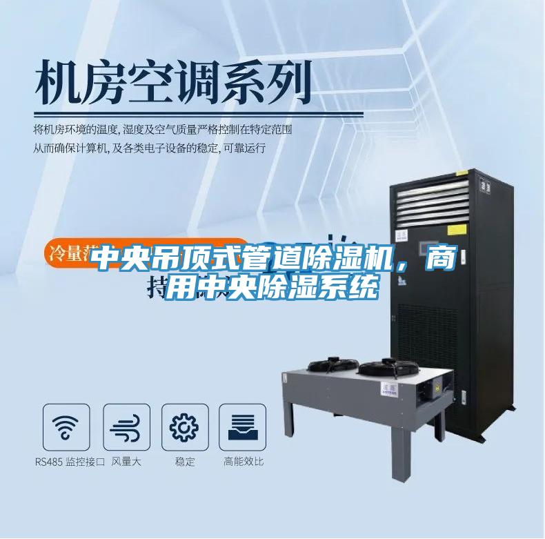 中央吊頂式管道除濕機(jī)，商用中央除濕系統(tǒng)