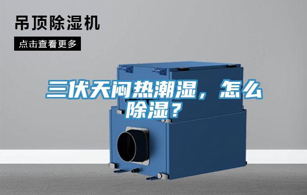 三伏天悶熱潮濕，怎么除濕？