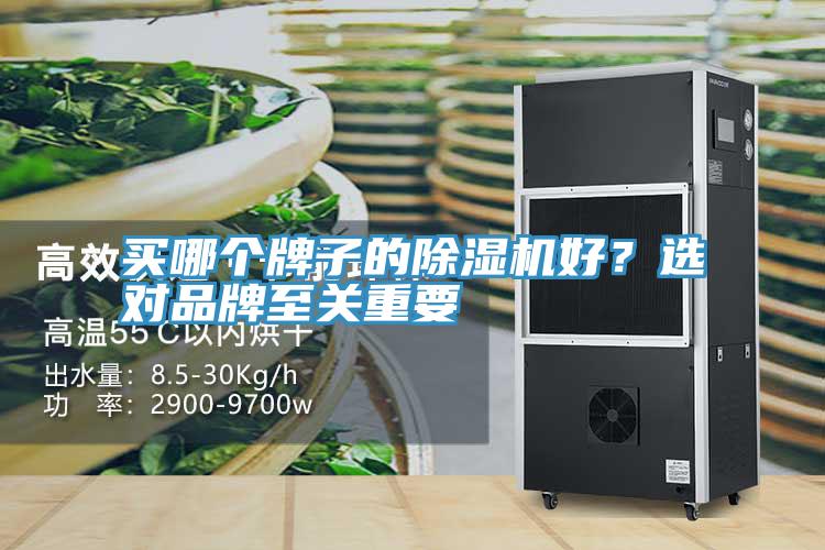 買哪個(gè)牌子的除濕機(jī)好？選對品牌至關(guān)重要