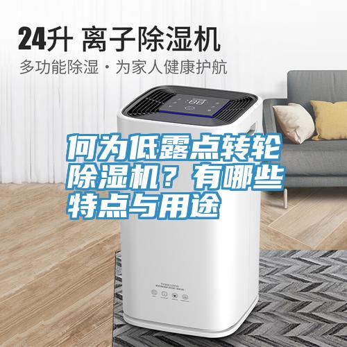何為低露點(diǎn)轉(zhuǎn)輪除濕機(jī)？有哪些特點(diǎn)與用途