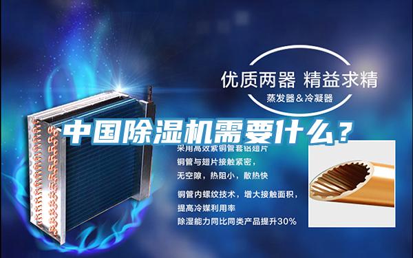 中國除濕機需要什么？