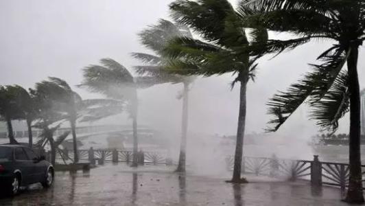 8月臺風(fēng)雨即將來，除濕機還得用起來