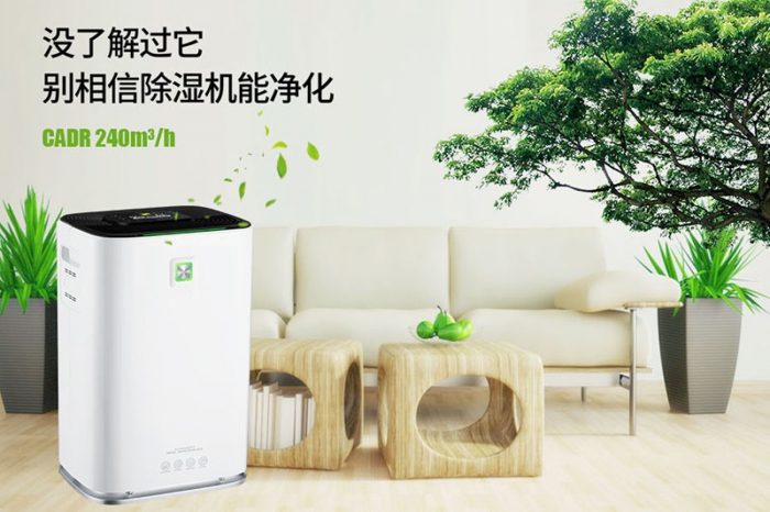 一到回南天狗狗就感冒+皮膚病，怎么辦？