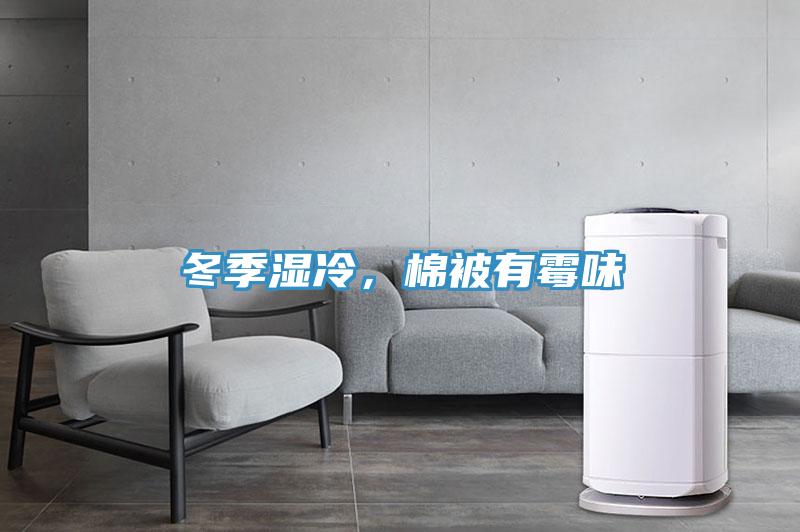 冬季濕冷，棉被有霉味
