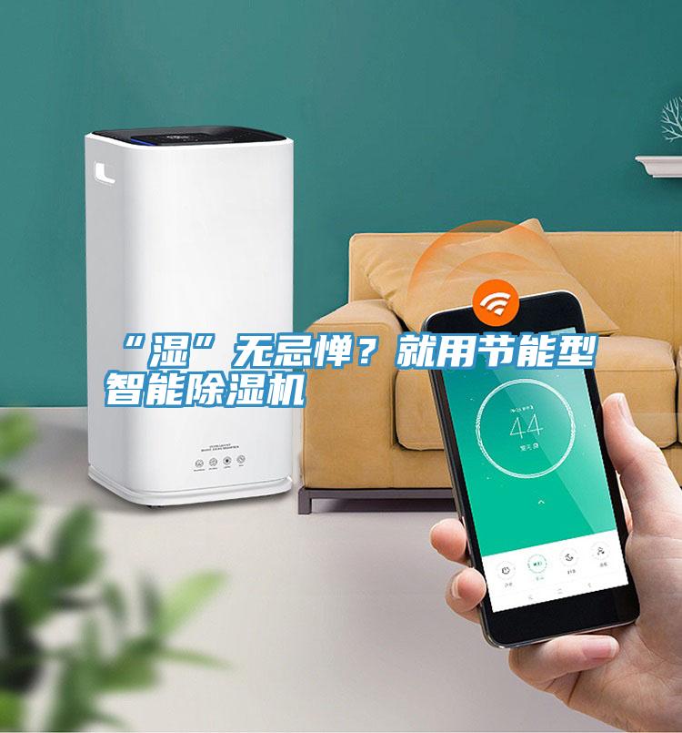 “濕”無(wú)忌憚？就用節(jié)能型智能除濕機(jī)