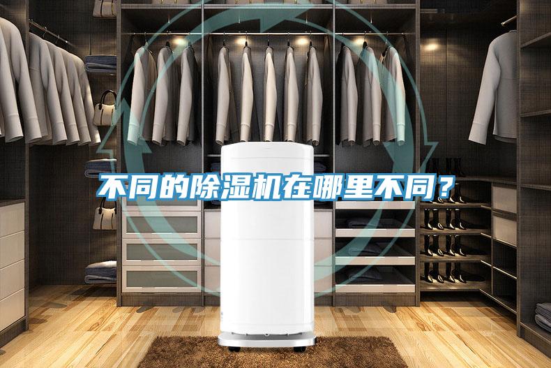 不同的除濕機在哪里不同？