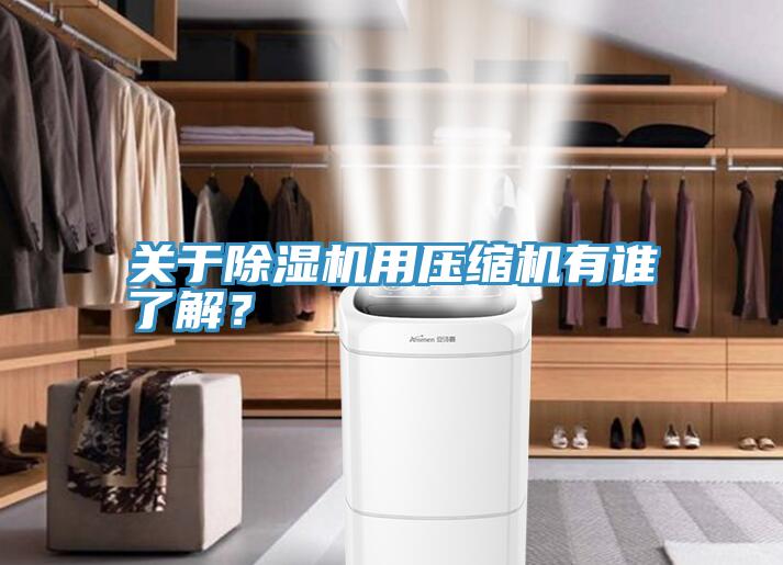 關(guān)于除濕機用壓縮機有誰了解？