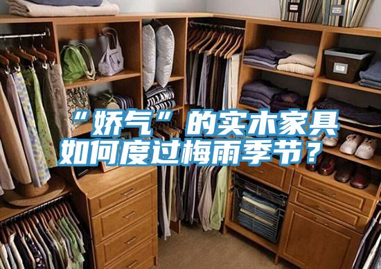 “嬌氣”的實(shí)木家具如何度過(guò)梅雨季節(jié)？