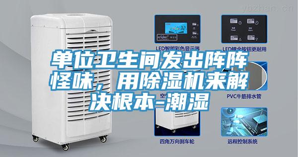 單位衛(wèi)生間發(fā)出陣陣怪味，用除濕機(jī)來(lái)解決根本-潮濕