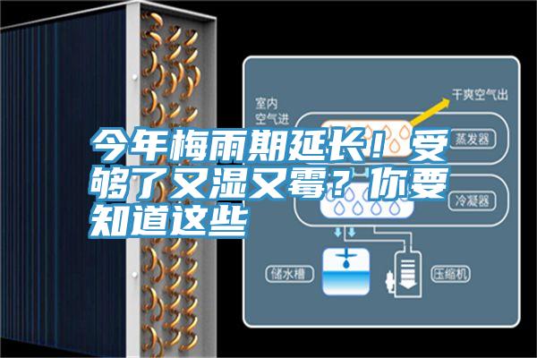今年梅雨期延長！受夠了又濕又霉？你要知道這些