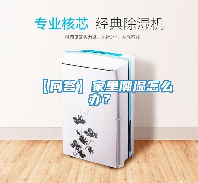 【問(wèn)答】家里潮濕怎么辦？