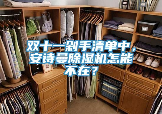 雙十一剁手清單中，安詩曼除濕機(jī)怎能不在？