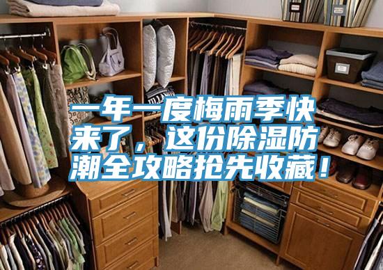 一年一度梅雨季快來了，這份除濕防潮全攻略搶先收藏！