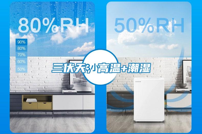 三伏天，高溫+潮濕
