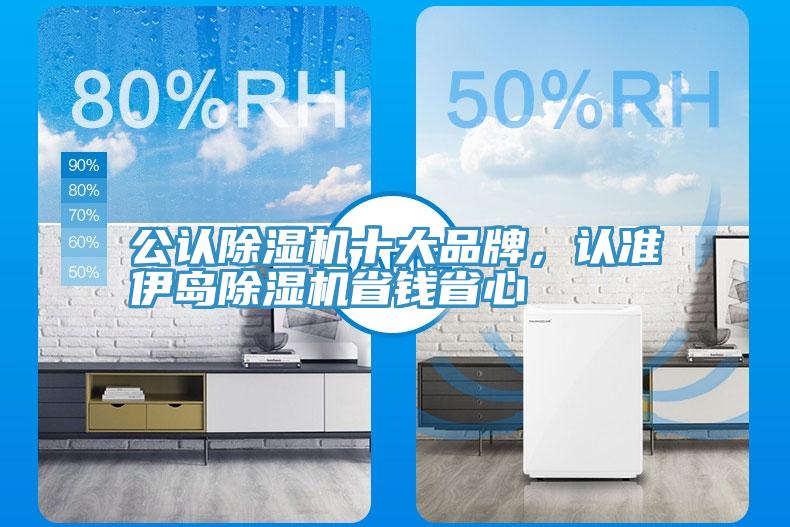 公認除濕機十大品牌，認準伊島除濕機省錢省心