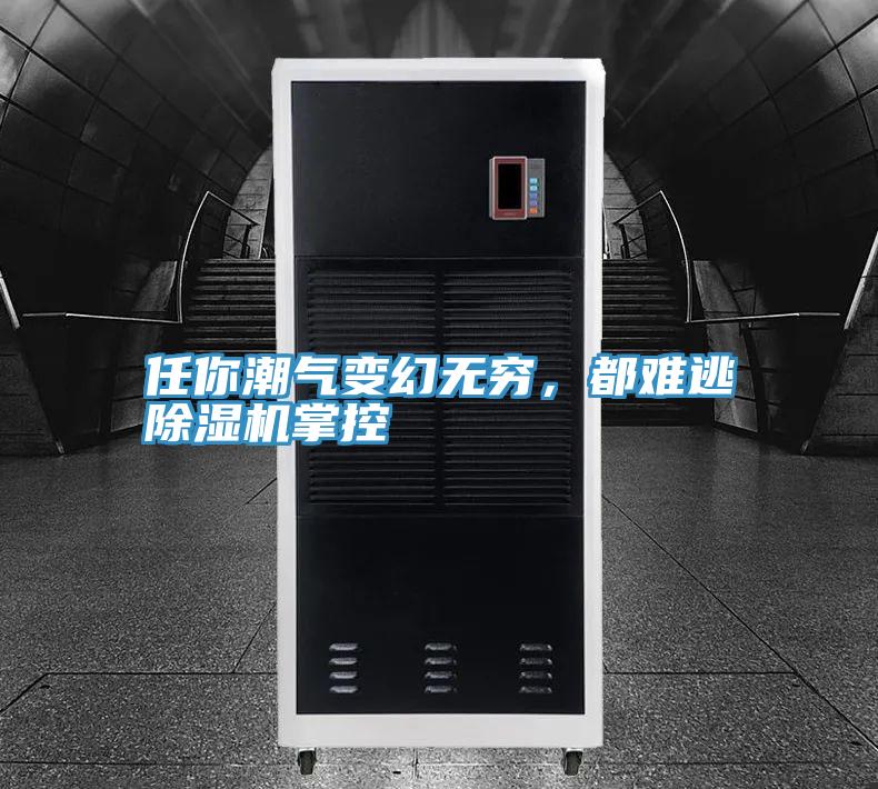 任你潮氣變幻無(wú)窮，都難逃除濕機(jī)掌控