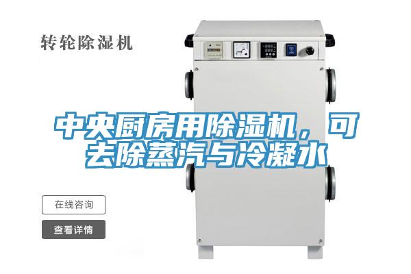 中央廚房用除濕機(jī)，可去除蒸汽與冷凝水
