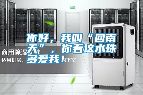 你好，我叫“回南天”，你看這水珠多愛我！
