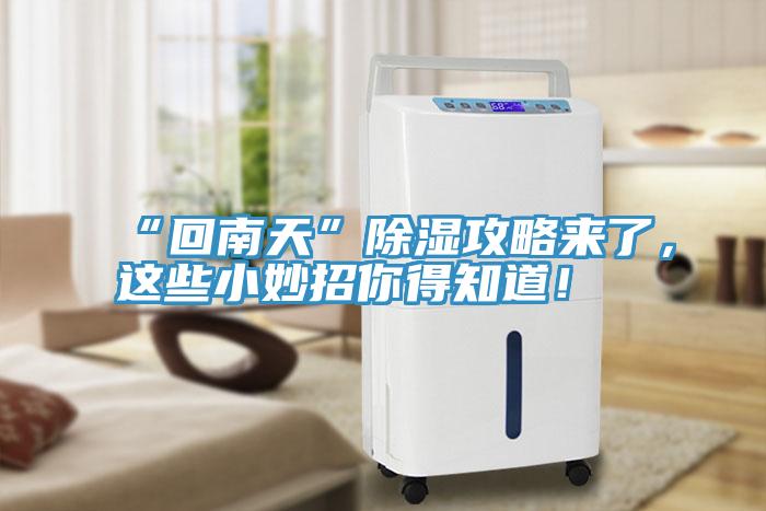 “回南天”除濕攻略來了，這些小妙招你得知道！