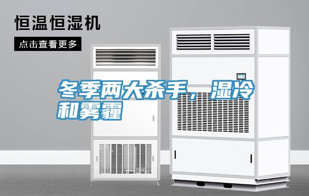 冬季兩大殺手，濕冷和霧霾