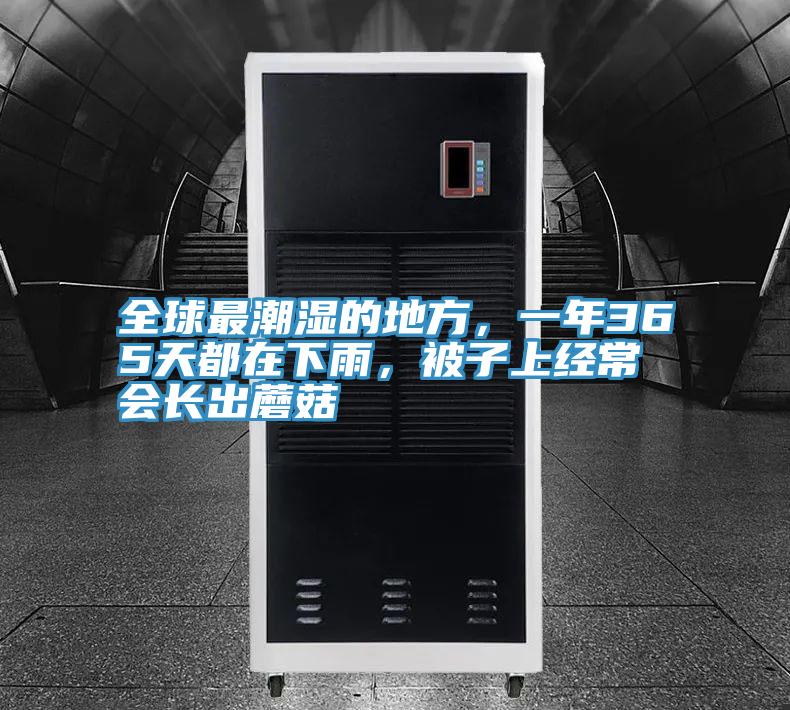 全球最潮濕的地方，一年365天都在下雨，被子上經(jīng)常會長出蘑菇