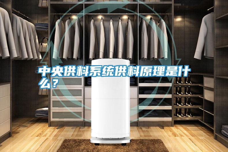 中央供料系統(tǒng)供料原理是什么？