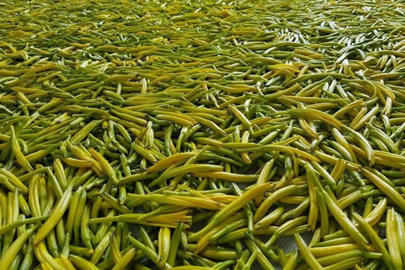 無硫金針菜烘干如何保持品相？不發(fā)黑？_除濕機廠家