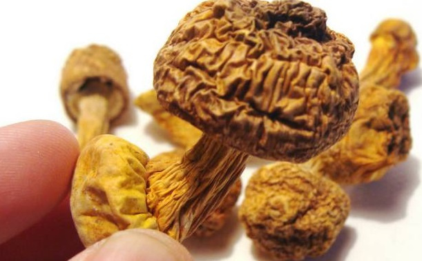 巴西菇、姬松茸烘干機(jī)-怎樣烘干色澤好且菇體褶片完整？