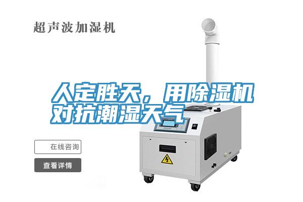 人定勝天，用除濕機對抗潮濕天氣