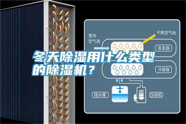 冬天除濕用什么類型的除濕機？