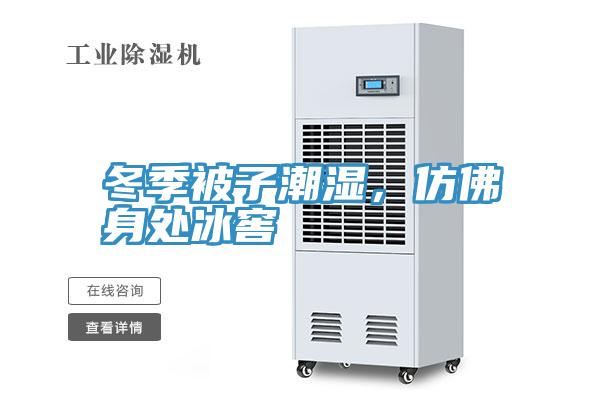 冬季被子潮濕，仿佛身處冰窖