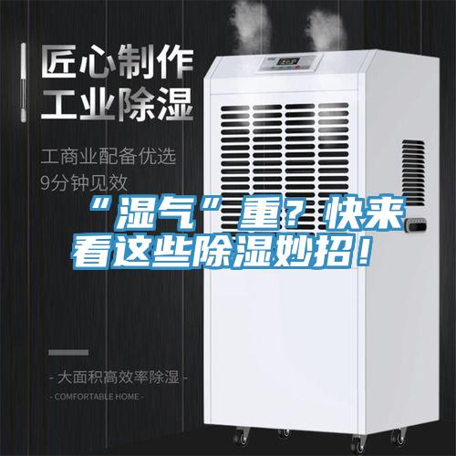 “濕氣”重？快來(lái)看這些除濕妙招！