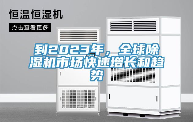 到2023年，全球除濕機(jī)市場(chǎng)快速增長(zhǎng)和趨勢(shì)