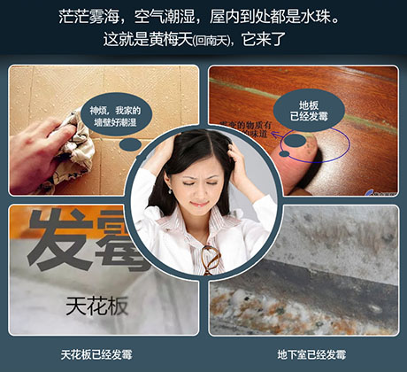 家庭別墅的地下室、衛(wèi)生間、儲(chǔ)物室等該如何除濕？