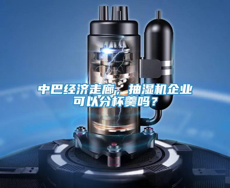 中巴經(jīng)濟走廊，抽濕機企業(yè)可以分杯羹嗎？