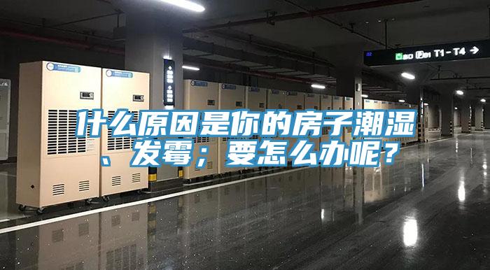 什么原因是你的房子潮濕、發(fā)霉；要怎么辦呢？