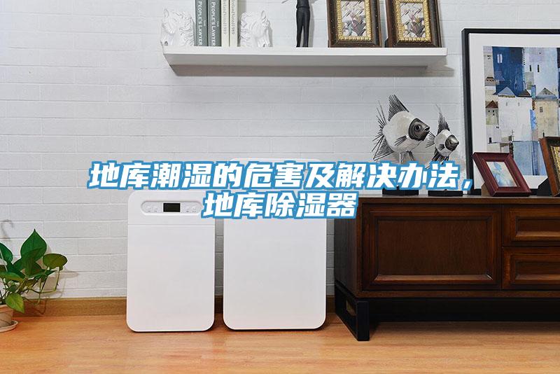 地庫(kù)潮濕的危害及解決辦法，地庫(kù)除濕器