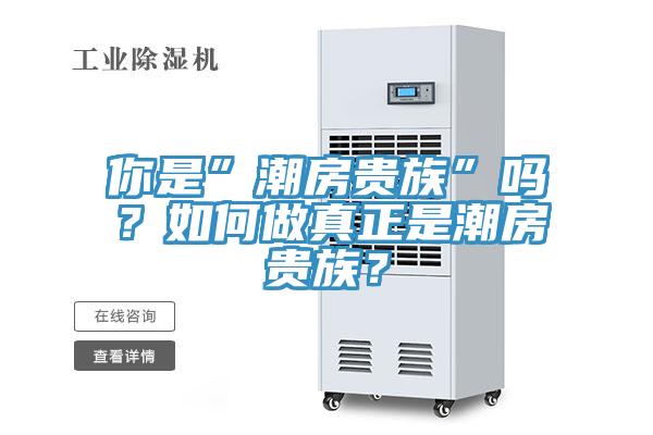 你是”潮房貴族”嗎？如何做真正是潮房貴族？