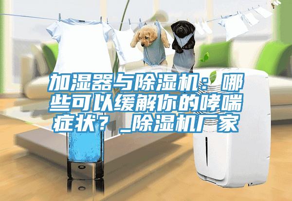 加濕器與除濕機(jī)：哪些可以緩解你的哮喘癥狀？_除濕機(jī)廠家