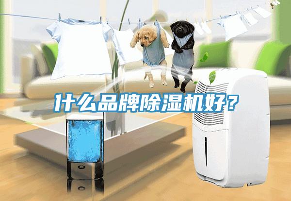 什么品牌除濕機(jī)好？