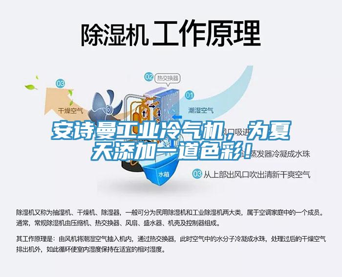 安詩曼工業(yè)冷氣機(jī)，為夏天添加一道色彩！