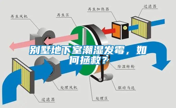 別墅地下室潮濕發(fā)霉，如何拯救？